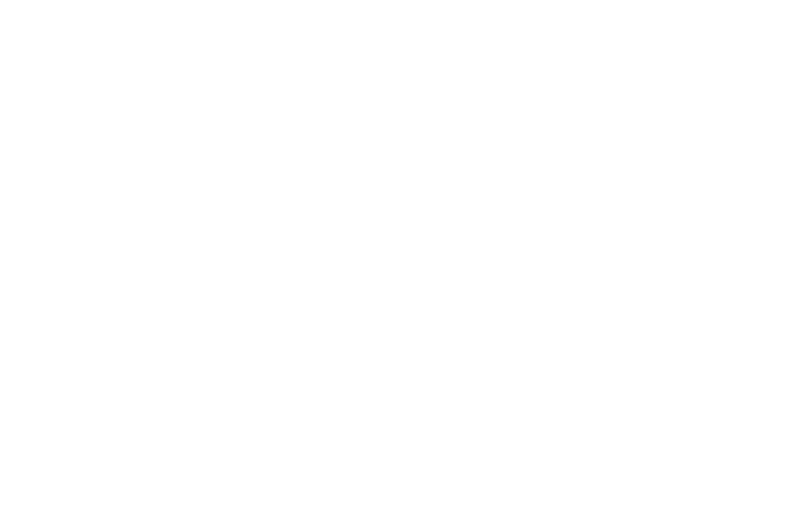 The Nicholas & Dorothy Cummings Foundation
