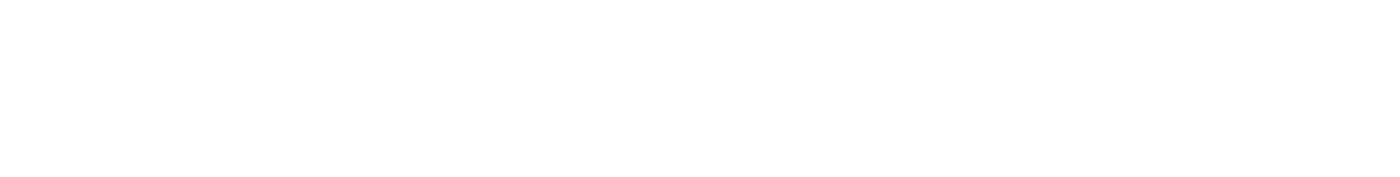 The Nicholas & Dorothy Cummings Foundation